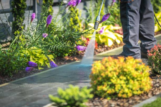Pico Rivera, CA Pressure Washing Company
