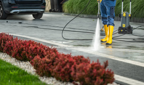 Best Patio and Deck Pressure Washing  in Pico Rivera, CA